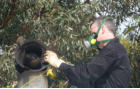 Clean that Cowl