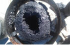 Love heart creosote