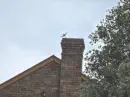 Tedious sweep following chimney fire